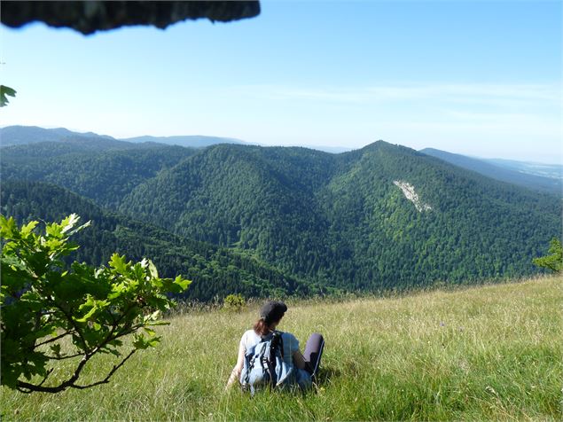 Point de vue - Christophe Kaderabek - Haut Bugey Tourisme