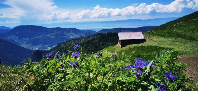 Chalets de Pertuis - Office de Tourisme des Alpes du Léman