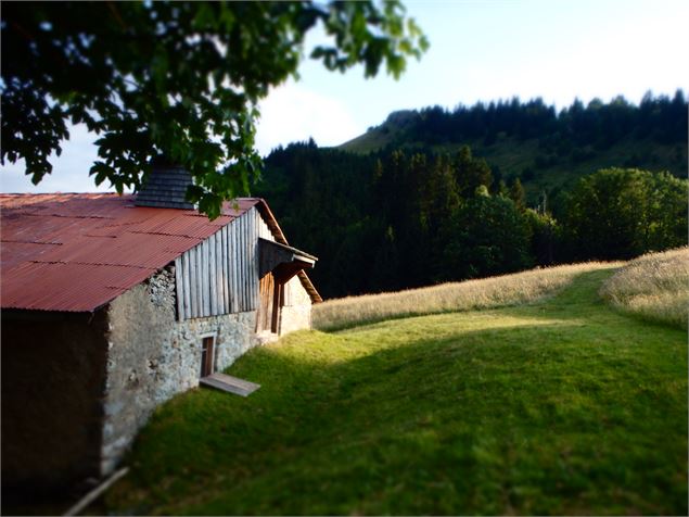 Hameau d'alpage du Tour - Office de Tourisme des Alpes du Léman