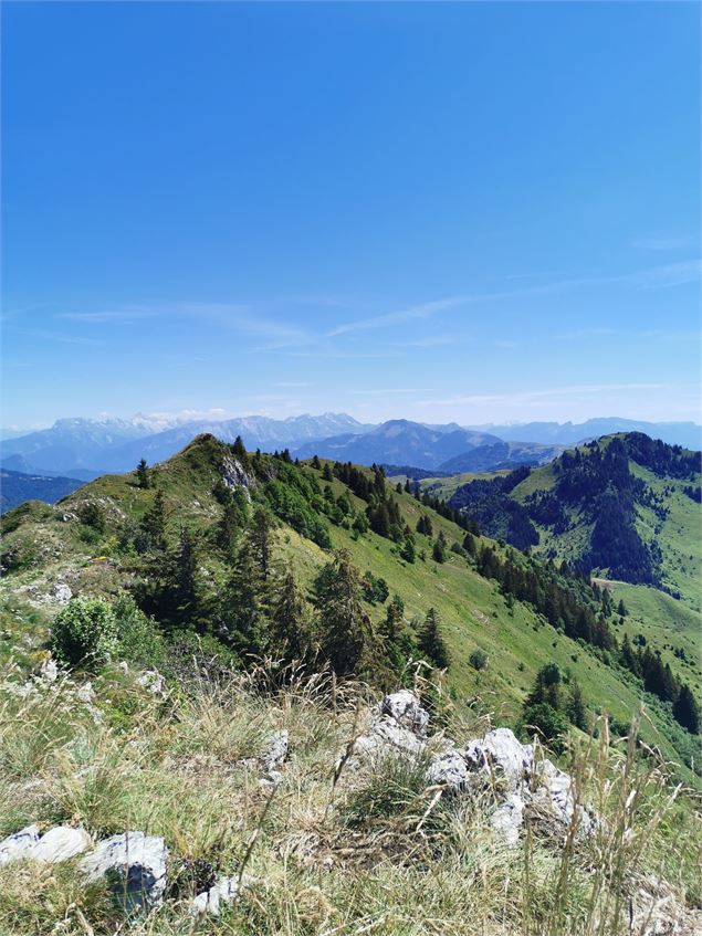 Crêtes d'Hirmentaz vue Mont-Blanc - OT Alpes du Léman