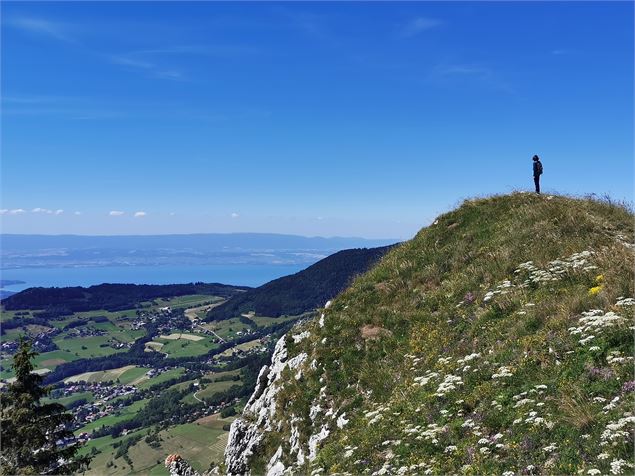 Crêtes d'Hirmentaz vue Lac Léman - OT Alpes du Léman