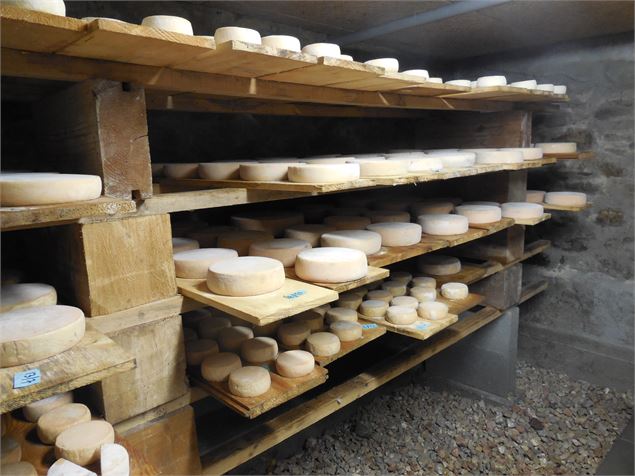 Photo fromage - Ferme des Thoules