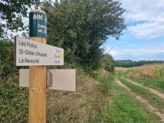 Autour des Poypes de St Sulpice - scalland