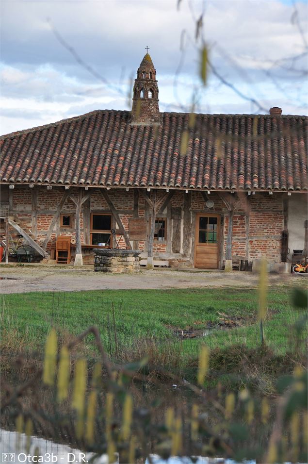 Cheminée sarrasine - scalland