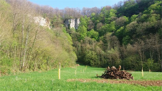 Reculée de la Roche - Salavre - scalland