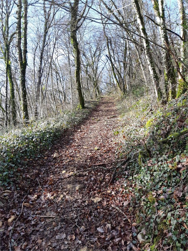 Chemin du Revermont - scalland