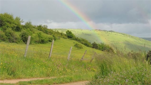 Panorama - F LECHELLE