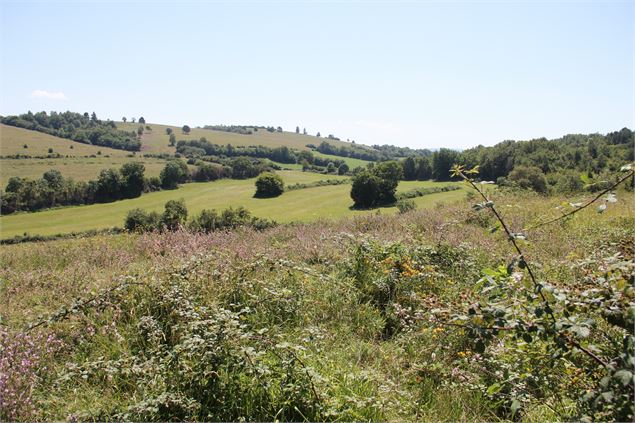 Crête d'Arnans - scalland