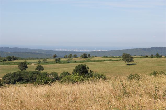 Crête d'Arnans - scalland