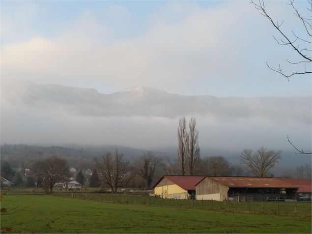 Vue depuis la balade sur une ferme et le Jura - Mathias Reding