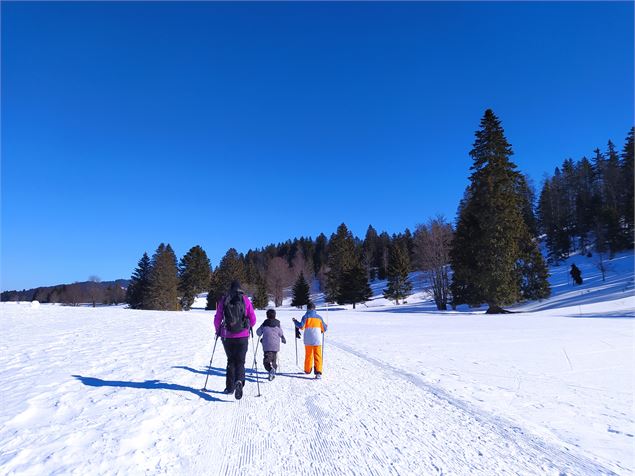 Sentier raquettes La Vattay - ©OTpaysdegex