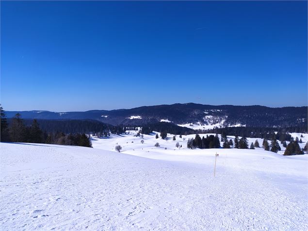 Vue sur le plateau depuis la Gélinotte - ©OTpaysdegex