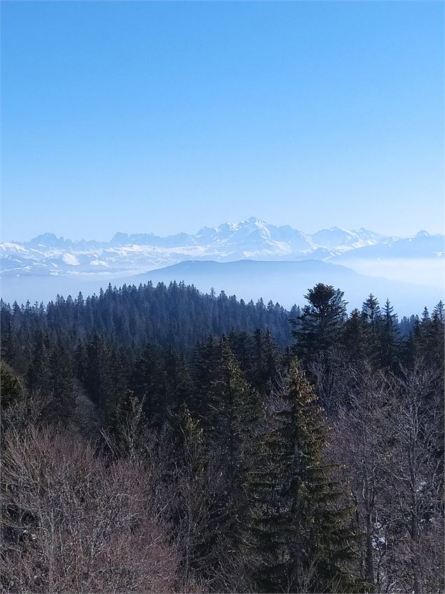 Vue depuis le haut du circuit de la Gélinotte - ©OTpaysdegex