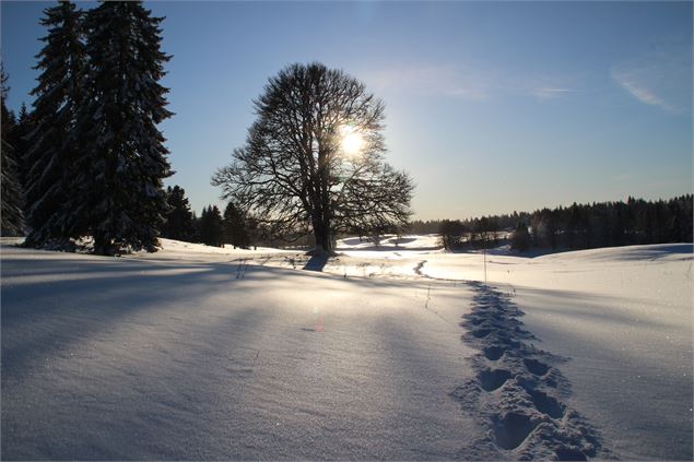 Au couché du soleil - ©OTpaysdegex