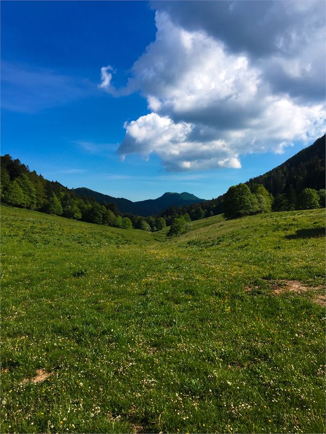 Combe du Cimetière - Grand Colombier - Col de la Biche - Sur Lyand - N. Muller