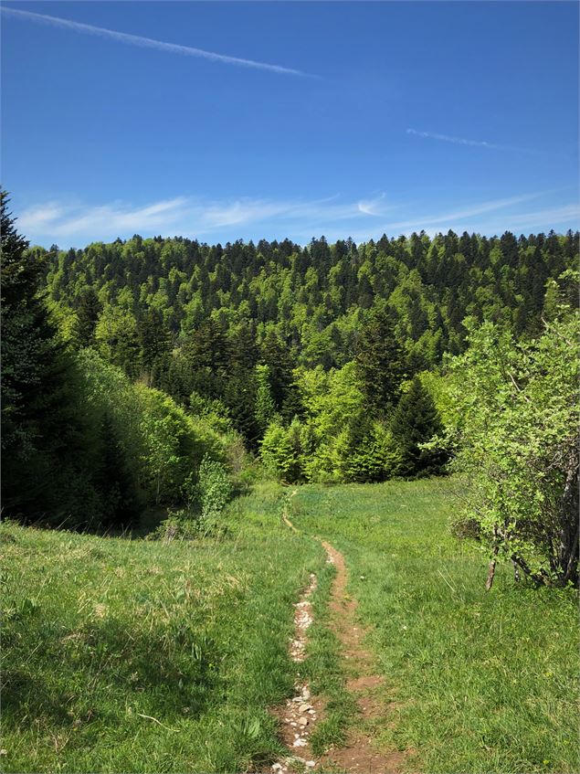 Col de Charbemènes - N. Muller