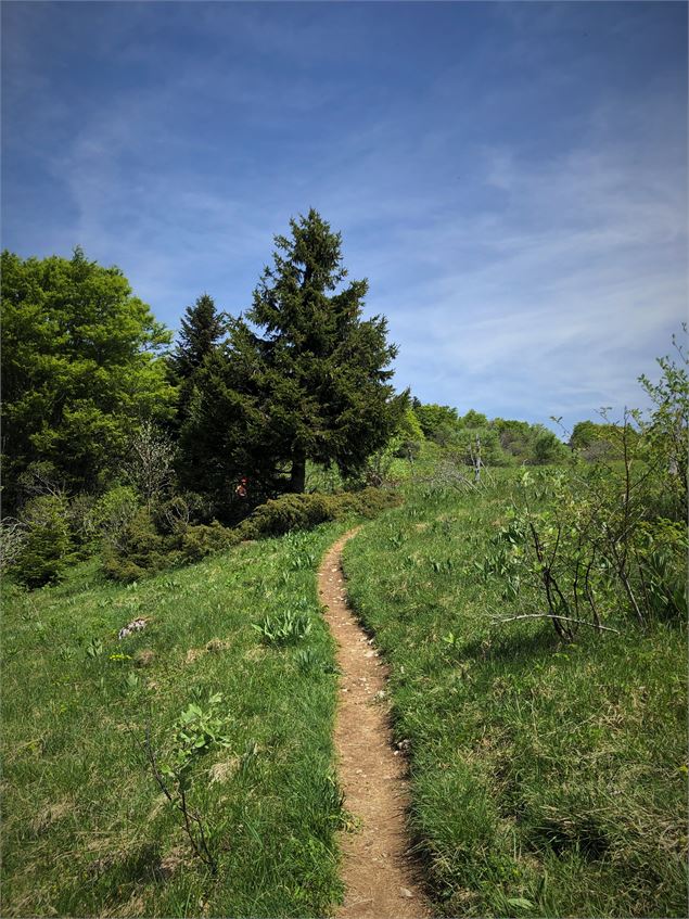 Col de Charbemènes - N. Muller