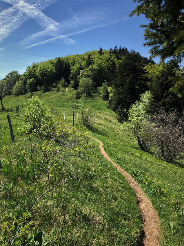 Col de Charbemènes - N. Muller