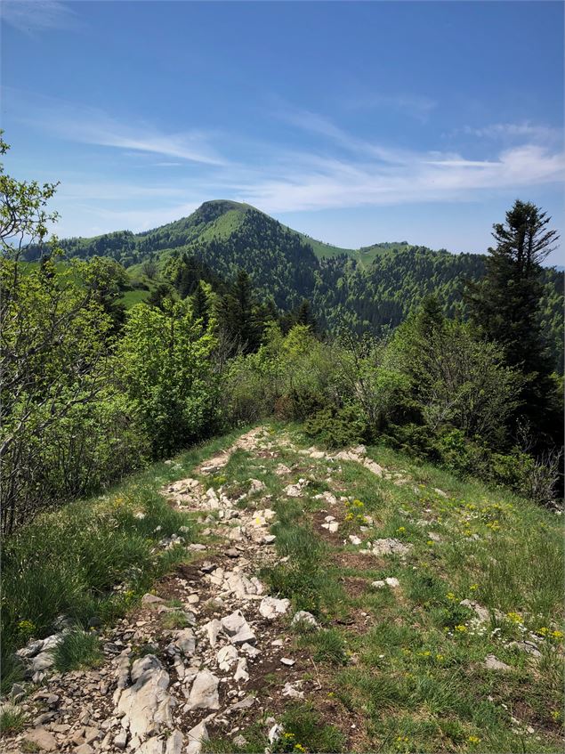 Sentier sur les Crêtes de Sur Lyand - N. Muller