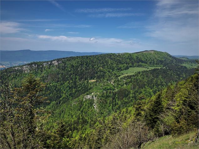 Sentier sur les Crêtes de Sur Lyand - N. Muller