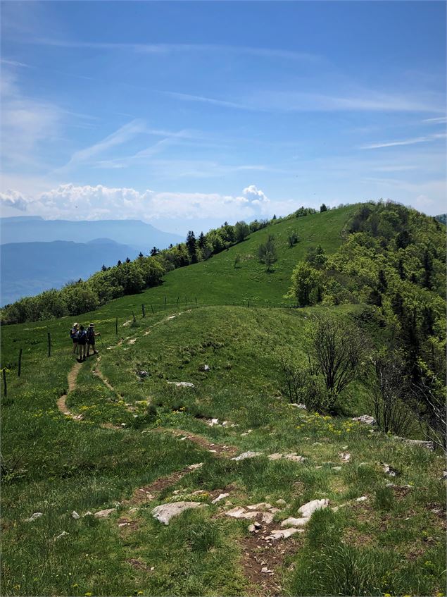 Single sur les Crêtes de Sur Lyand - N. Muller