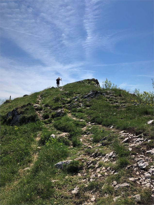 Sentier sur les Crêtes de Sur Lyand - N. Muller