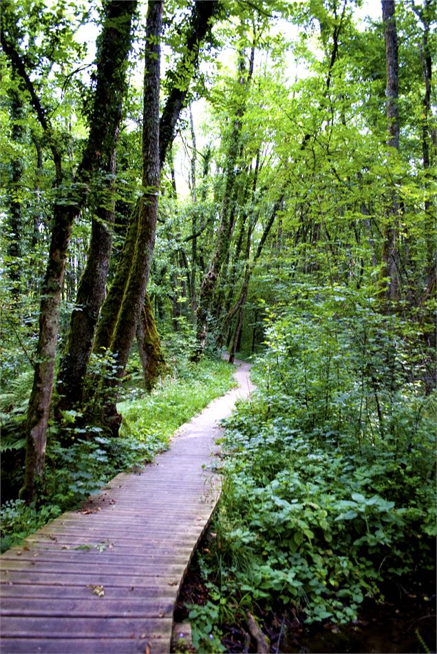 Le Marais des bidonnes