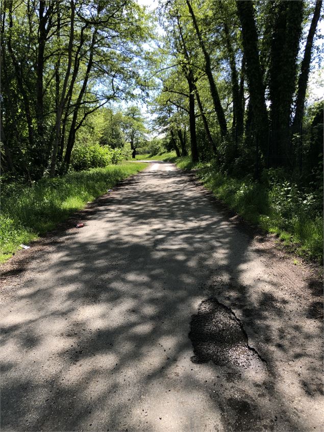 On retourne dans les bois - Jules Guerle