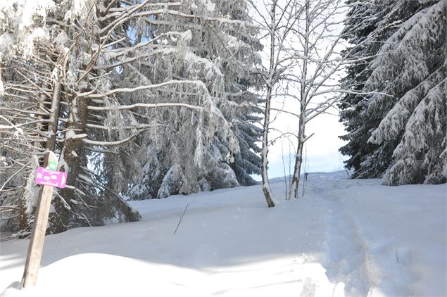 Avant de longer la piste de ski Marvel - OT Les Carroz