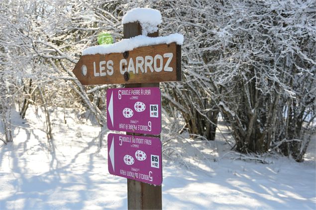 Balisage N°5 et N°6 - OT Les Carroz