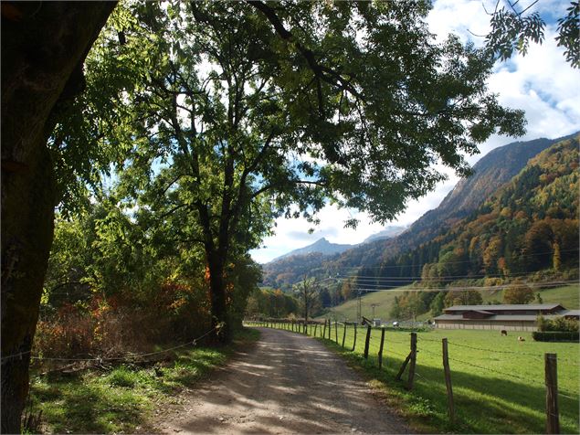 Chemin de Paradis - Office de tourisme