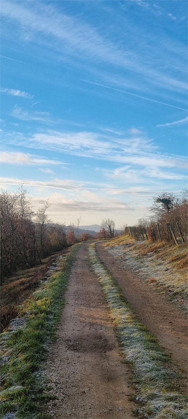 Plateau de Vergongeat - scalland