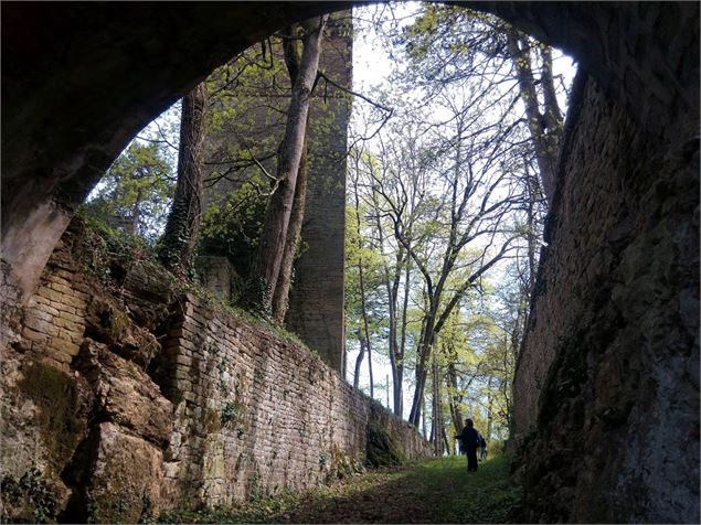 Chateau de Coligny - scalland