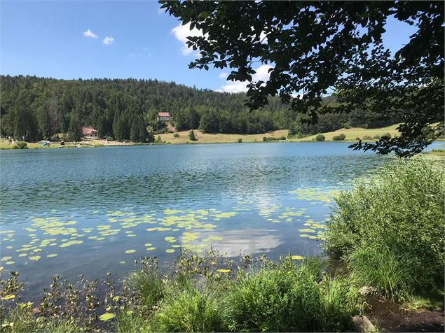 Lac Genin à l'ombre - Fantine Invernizi