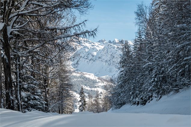 Chemin enneigé - Juliette Rebour