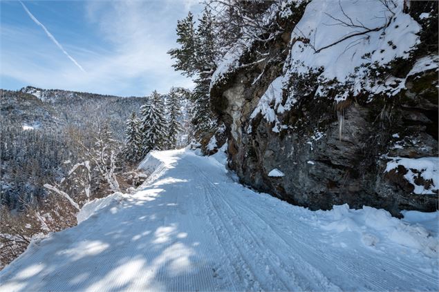 Chemin enneigé - Juliette Rebour