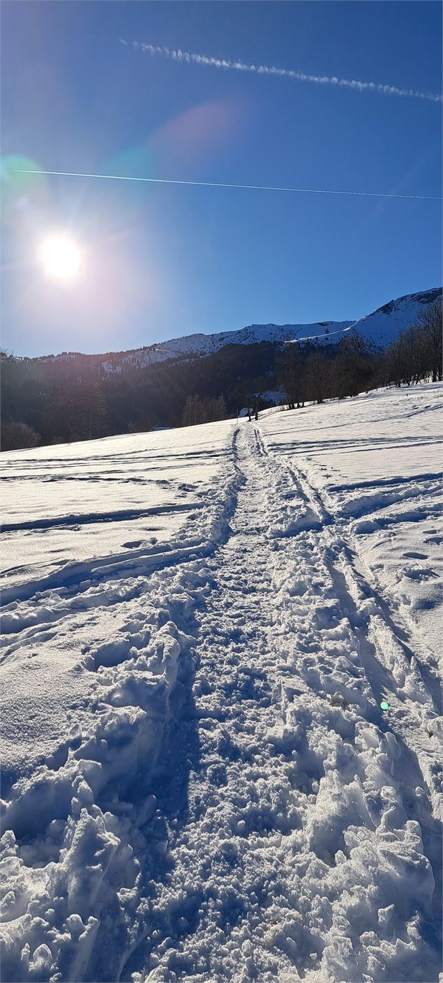 Sentier enneigé non damé - © Cordon Tourisme