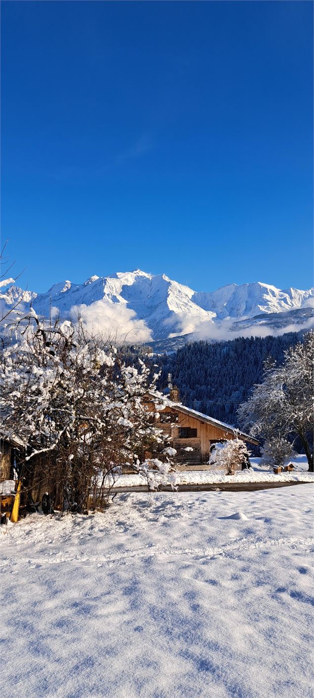 Vue Mont Blanc et sur les chalets - © Cordon Tourisme