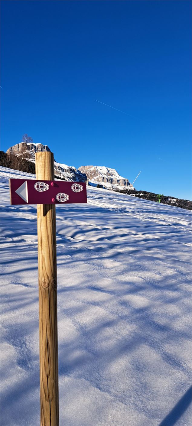 Panneau raquette avec vue des Aravis - © Cordon Tourisme