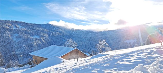 Vue sur la forêt de la Jorasse - © Cordon Tourisme