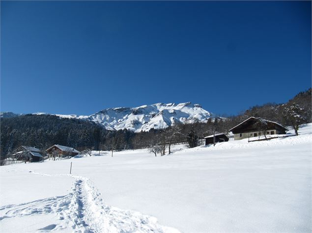 Trace dans la neige sentier face au Croisse Baulet - © Jean-Marc BAREY