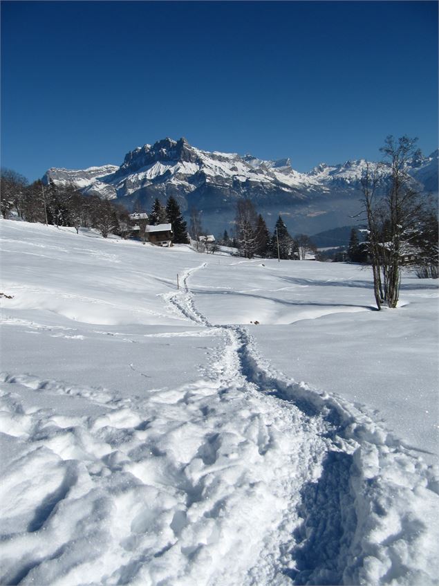 Chemin raquette tracé dans la neige, non damé - © Jean-Marc BAREY