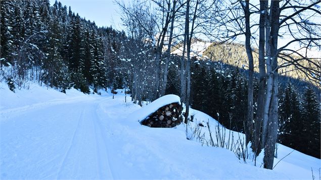 Itinéraires damés - La Plagne Vallée