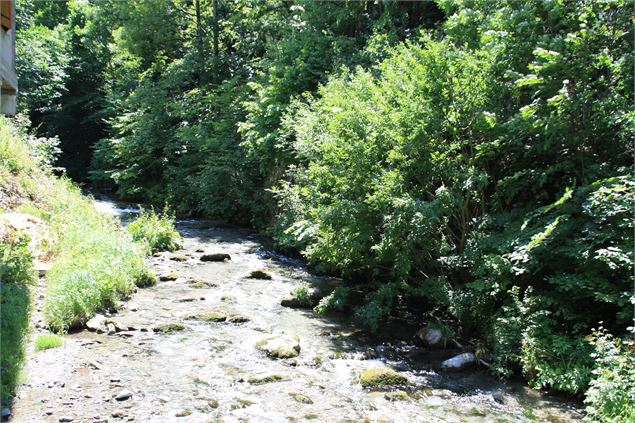 Rivière Le Doron à Beaufort - OTAB