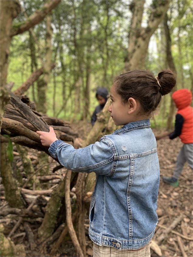 Balade préhistorique en foret - Musée de Préhistoire et Géologie