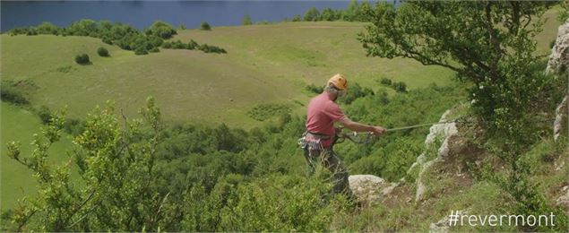 Rappel de la Pivoine - SCalland