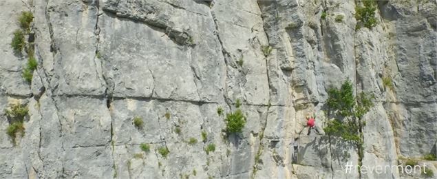 Rappel de la Pivoine - SCalland